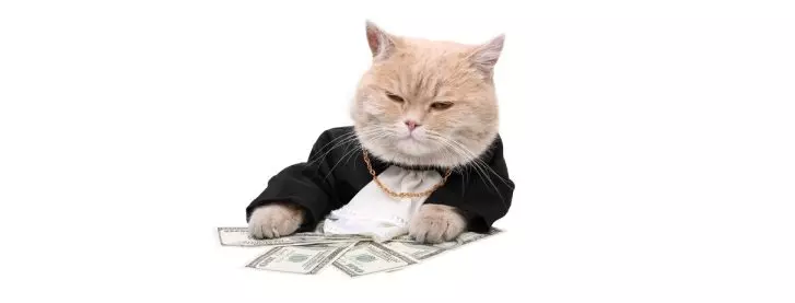 fat cat bosses ceo executive pay